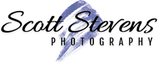 logo free img